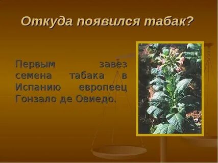 Появление табака