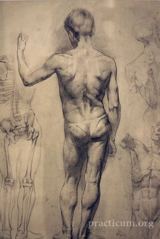 Проблематические натуры. Контрапост Микеланджело. Зарисовки Леонардо да Винчи Микеланджело фигура человеческая. Микеланджело рисунок фигуры человека. Наброски Микеланджело.