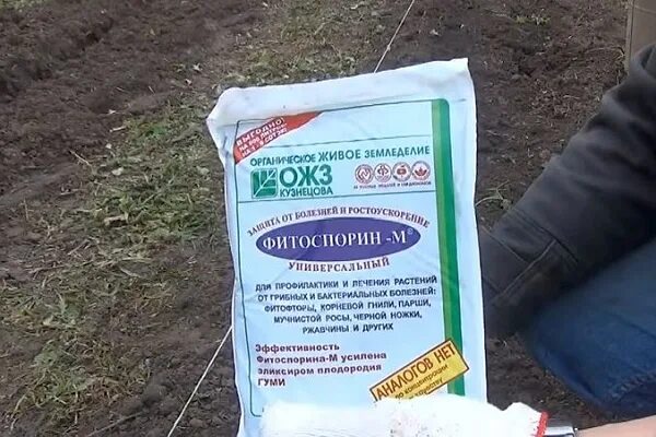 Фитоспорин для хвойных. Фитоспорин от вредителей. Фитоспорин 200гр. Средства от болезней растений. Фитоспорин осень.