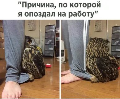 Не задерживаюсь на одной работе