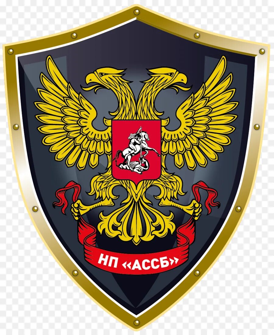 Изображение герба на щите. Щит с двуглавым орлом. герб россии. герб россии на щите. щит российской империи.