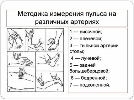 Подсчет частоты сердечных сокращений метод