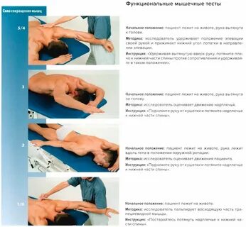 Тонус мышц спины