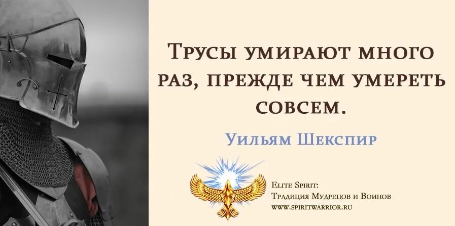 Цитаты про горацио. Трус умирает много раз. Цитаты про войну и трусость. Признаю свою вину степень тяжесть глубину. Трус умирает много раз.