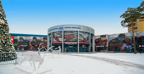 Ледовый дворец балашиха сайт