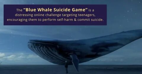 The blue whale is