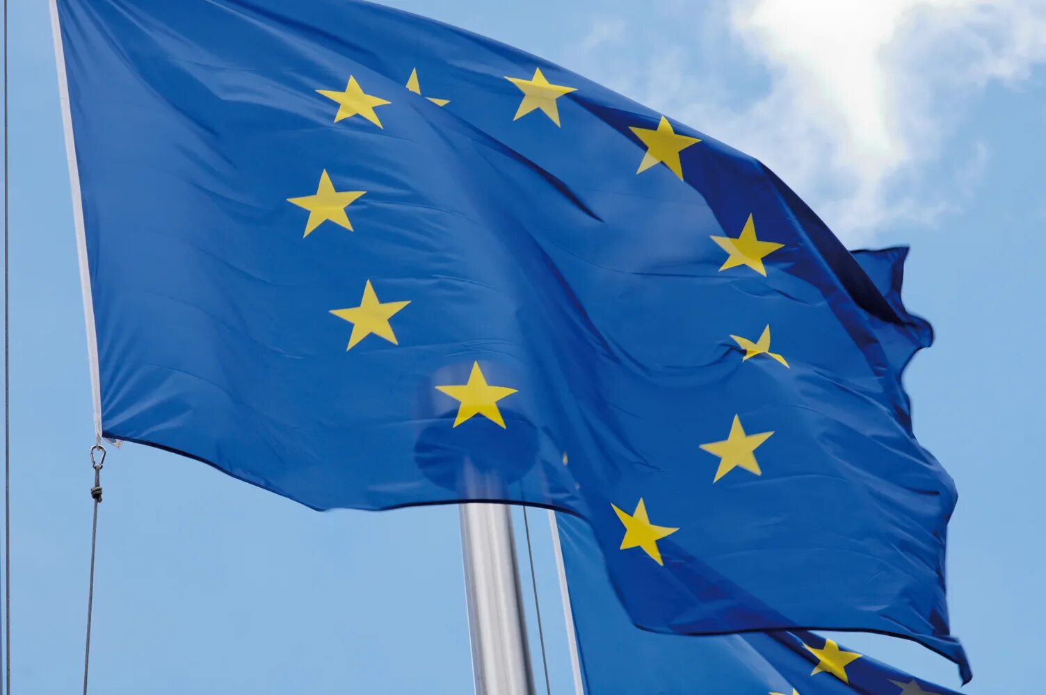 Total war napoleon мод masters of europe. Escp europe. глобал мастер. Emcc global esqa logo. Escp europe - london campus.