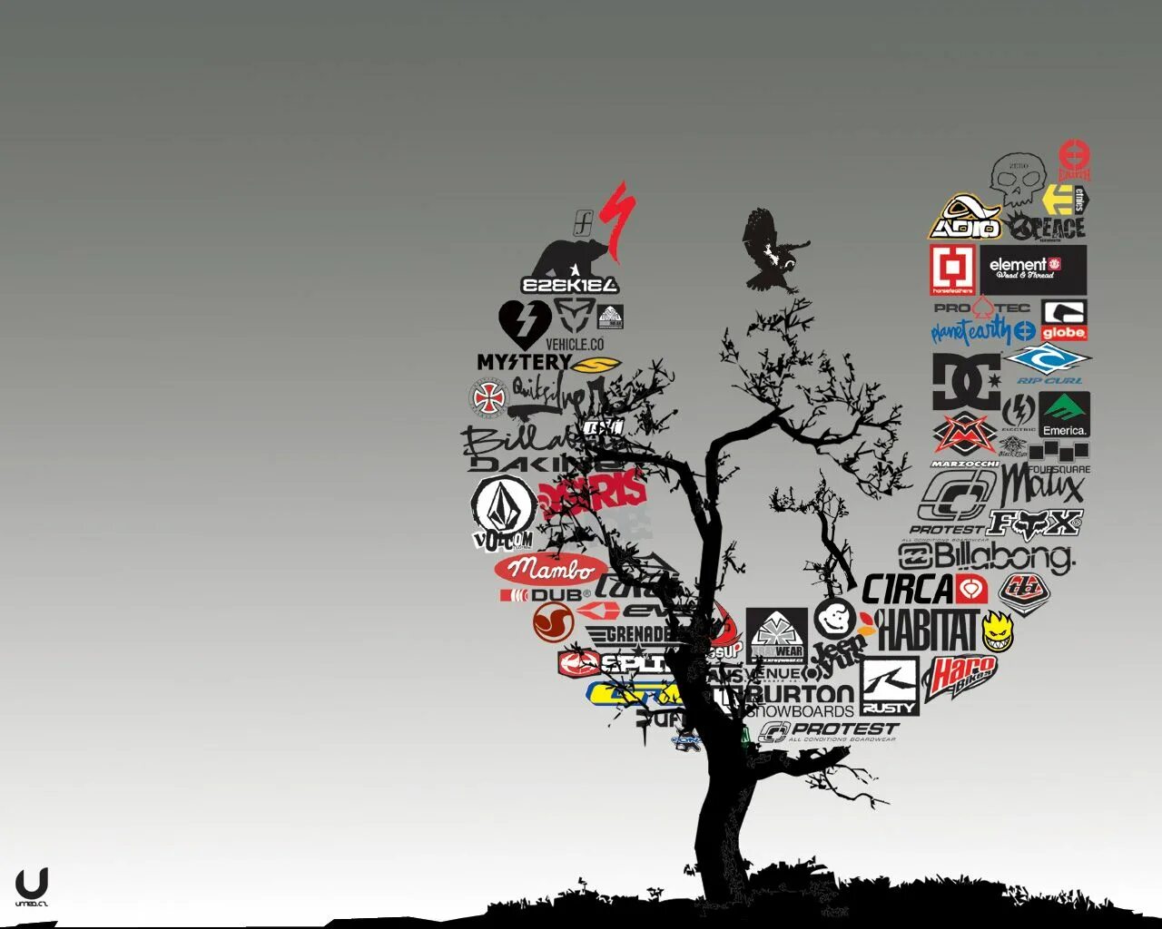 Create graphics