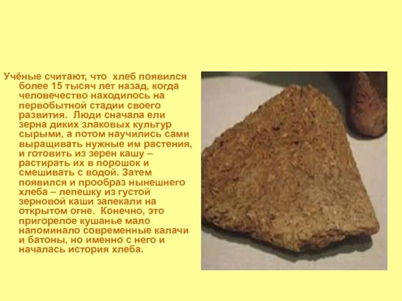 Первый хлеб текст. Хлеб появился 15 тысяч лет назад. История хлеба. Появление хлеба. Когда появился хлеб на земле.