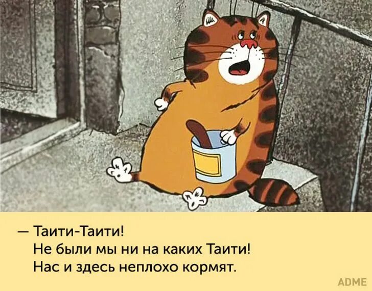 Фразы из мультфильмов ставшие. Попугай кеша таити таити. фразы из мультфильмов. фразы из советских мультиков. цитаты из мультфильмов.