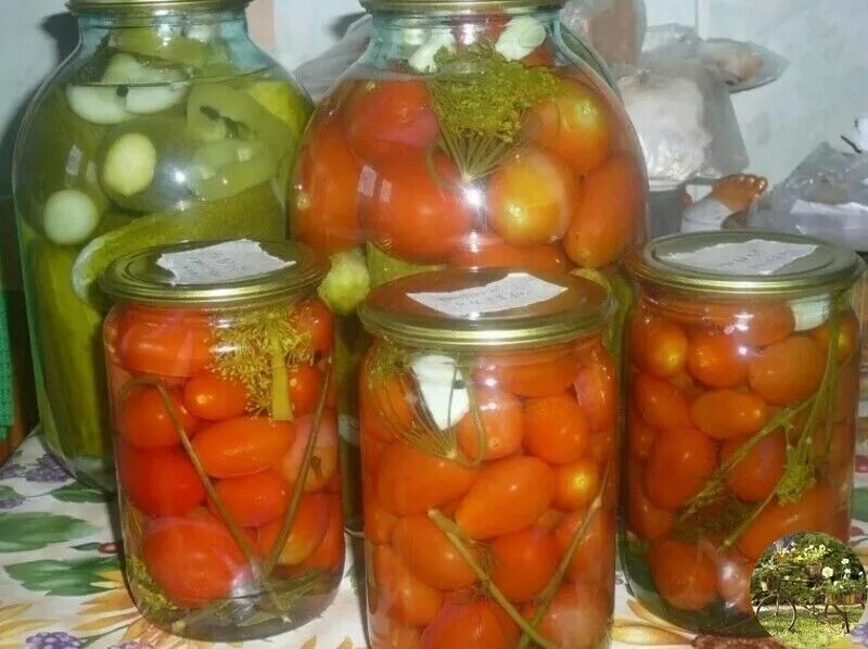 Томат в банке. Помидорчики маринованные черри. Заготовка помидор на зиму. Помидоры соленые. Консервация помидор в банки.