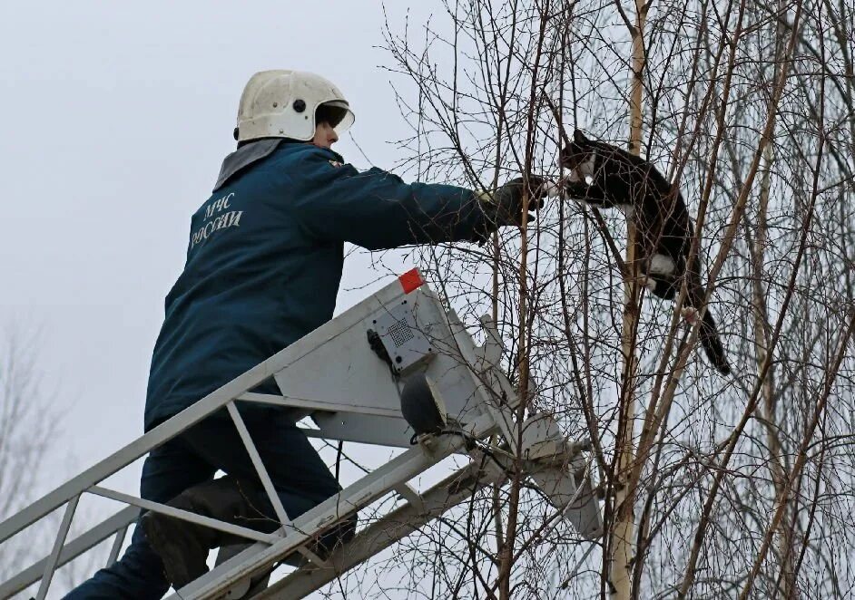 Застрять надолго
