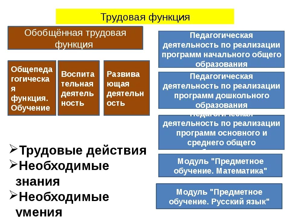 Обобщенная трудовая функция педагога. Трудовые функции педагога. Трудовая функция. Функций трудовой функцией. Основная Трудовая функция.