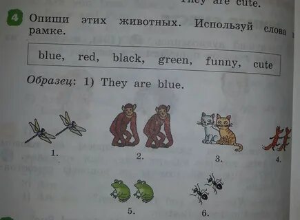 Напиши используя слова в рамке какие качества