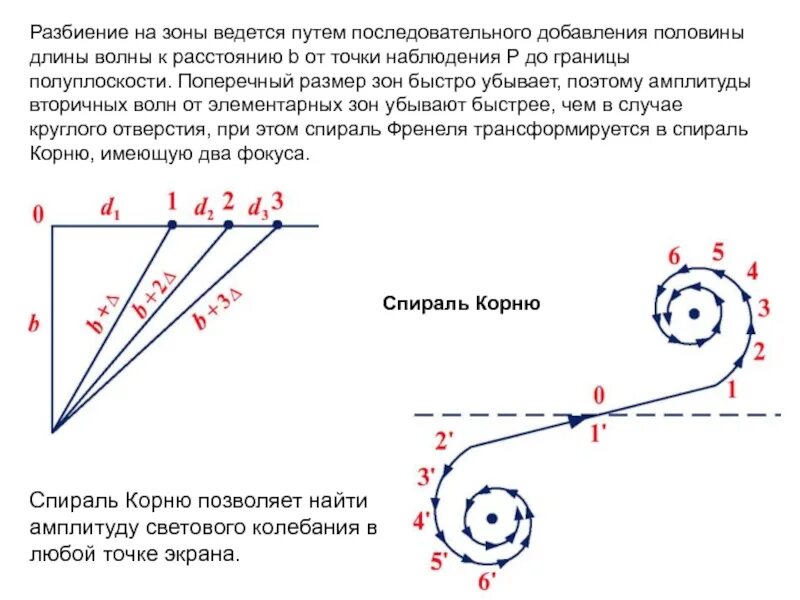 При наблюдении из какой точки. Спираль корню. Дифракция Френеля на щели спираль корню. Зоны Шустера на спирали корню. Спираль корню дифракция.