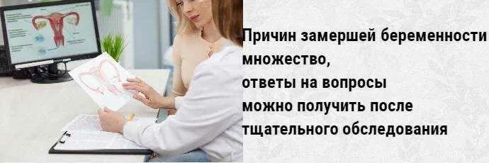 Гистология после выскабливания матки. Узи при замершей беременности. Узи заключение замершей беременности. Справка о замершей беременности. Замершая беременность узи протокол.