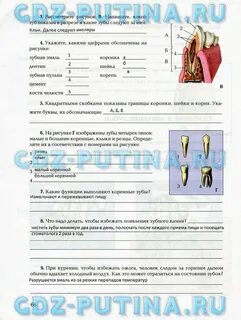 Биология 8 класс стр 75