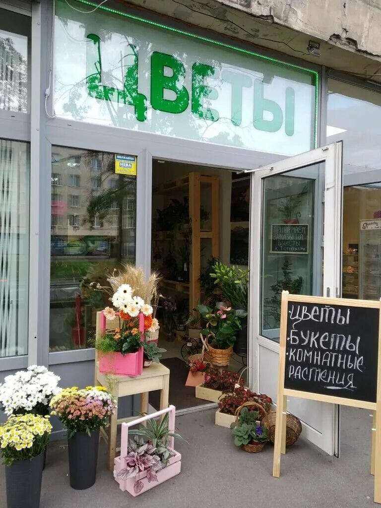 Магазин цветов цветочный дворик. Салон цветов вывеска. Цветочный дворик балаково. Магазин цветочный дворик. Магазин цветочный дворик.