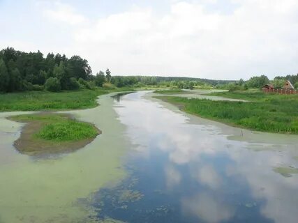 Река вьюнок