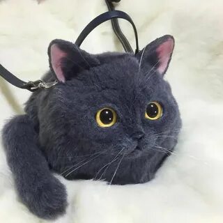 Кошка тренд