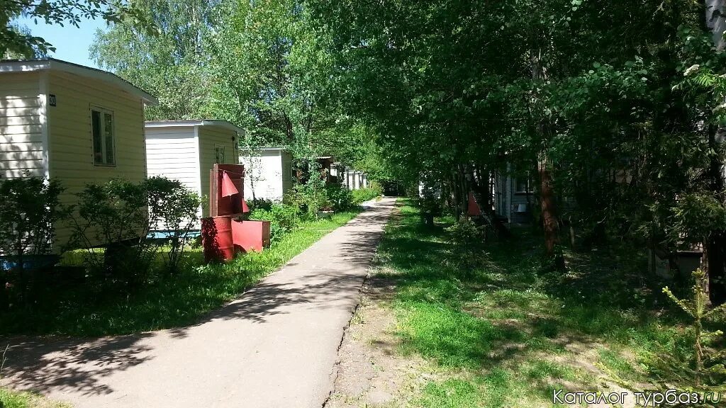 База отдыха салют на Истре. База салют Истринское водохранилище. Турбаза салют Истринское водохранилище. База отдыха салют на Истринском водохранилище. Сайт базы салют