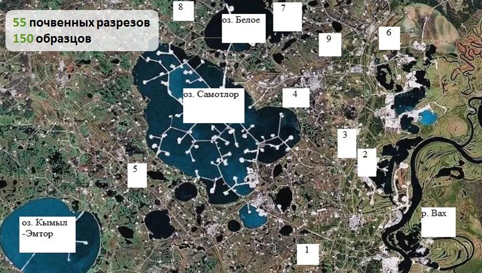 Карта самотлорского месторождения нижневартовск с кустами. Карта самотлорского месторождения нижневартовск с кустами. Самотлорское месторождение на карте. Самотлор месторождение нефти. Самотлорское месторождение на карте.