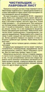 Чем полезен лавровый отвар для организма