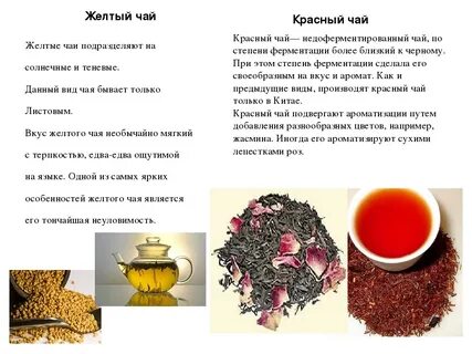 Золотой чай свойства