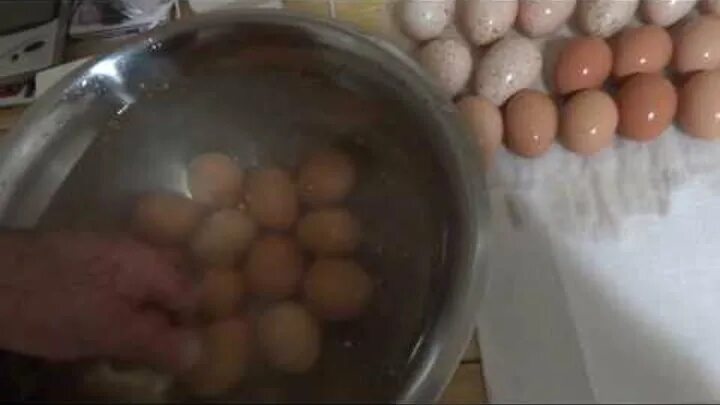 Мытье яиц. Дезинфекция яиц перед инкубацией. Обработка инкубационного яйца. Обработка яиц перед закладкой в инкубатор. Яйца грязные можно ли их мыть