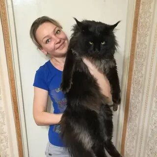 Продам взрослого