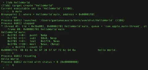 Код hello world