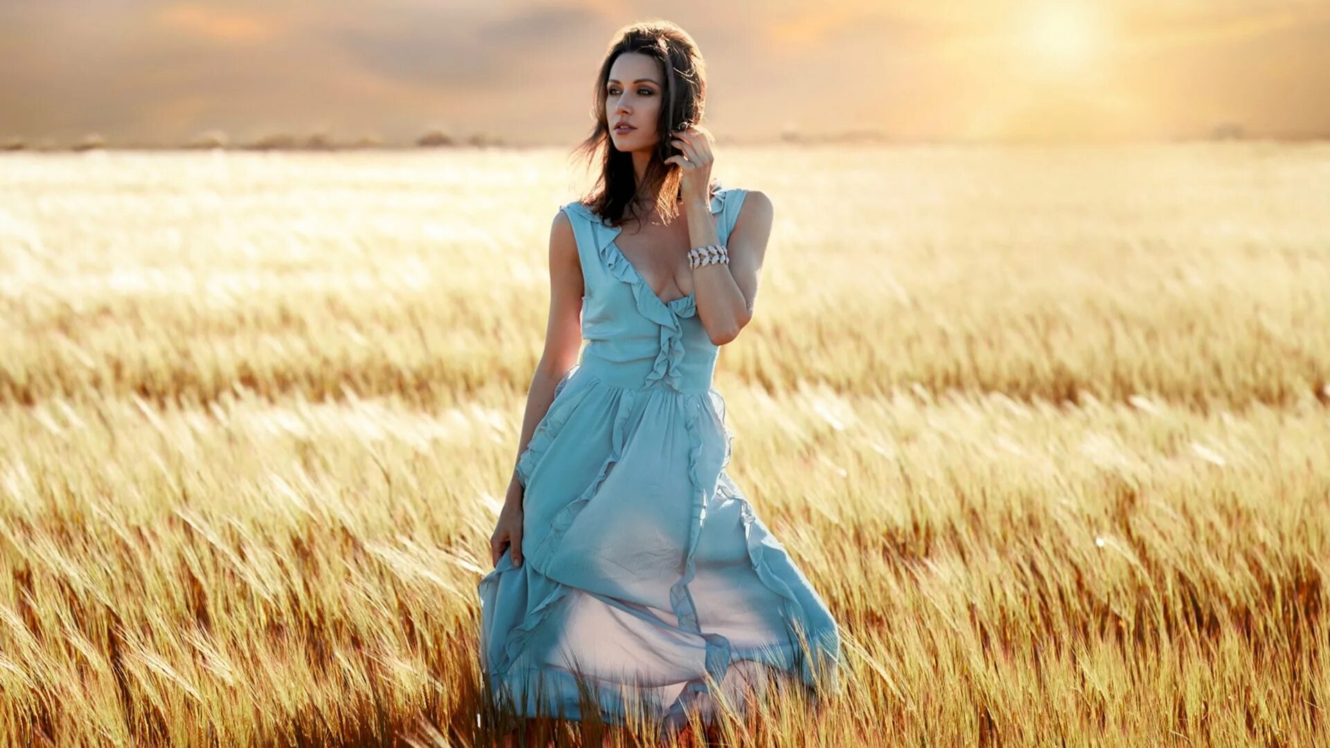 Models field