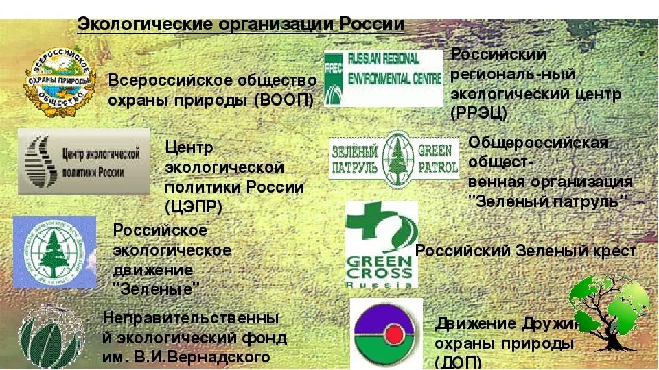 Экологические организации в России. Международные природоохранные организации России. Международные организации по экологии. Экологические организации в мире.