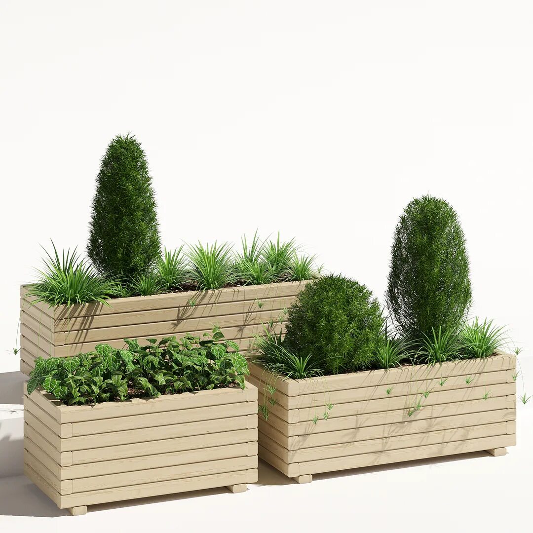 Plant 02. Сосна Горная 3д модель. Wooden Pine Trough Planter. Polyrattan Planters.