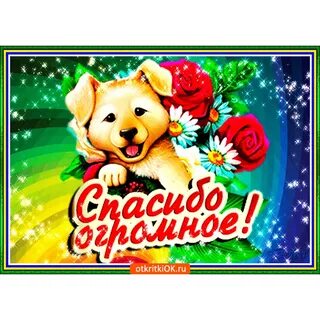 Круто спасибо большое