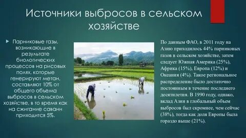 Источниками газа являются