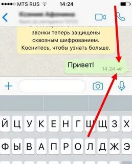 Почему в группе ватсап одна галочка