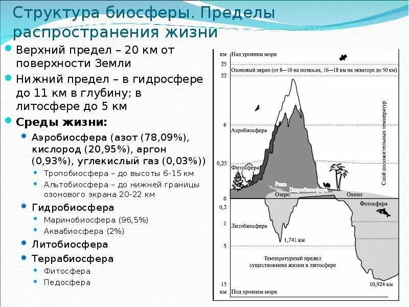 Какие факторы ограничивают распространение жизни в атмосфере. Биосфера структура и границы биосферы. Биосфера состав и строение. Биосфера границы биосферы таблица. Структура вещество границы биосферы.