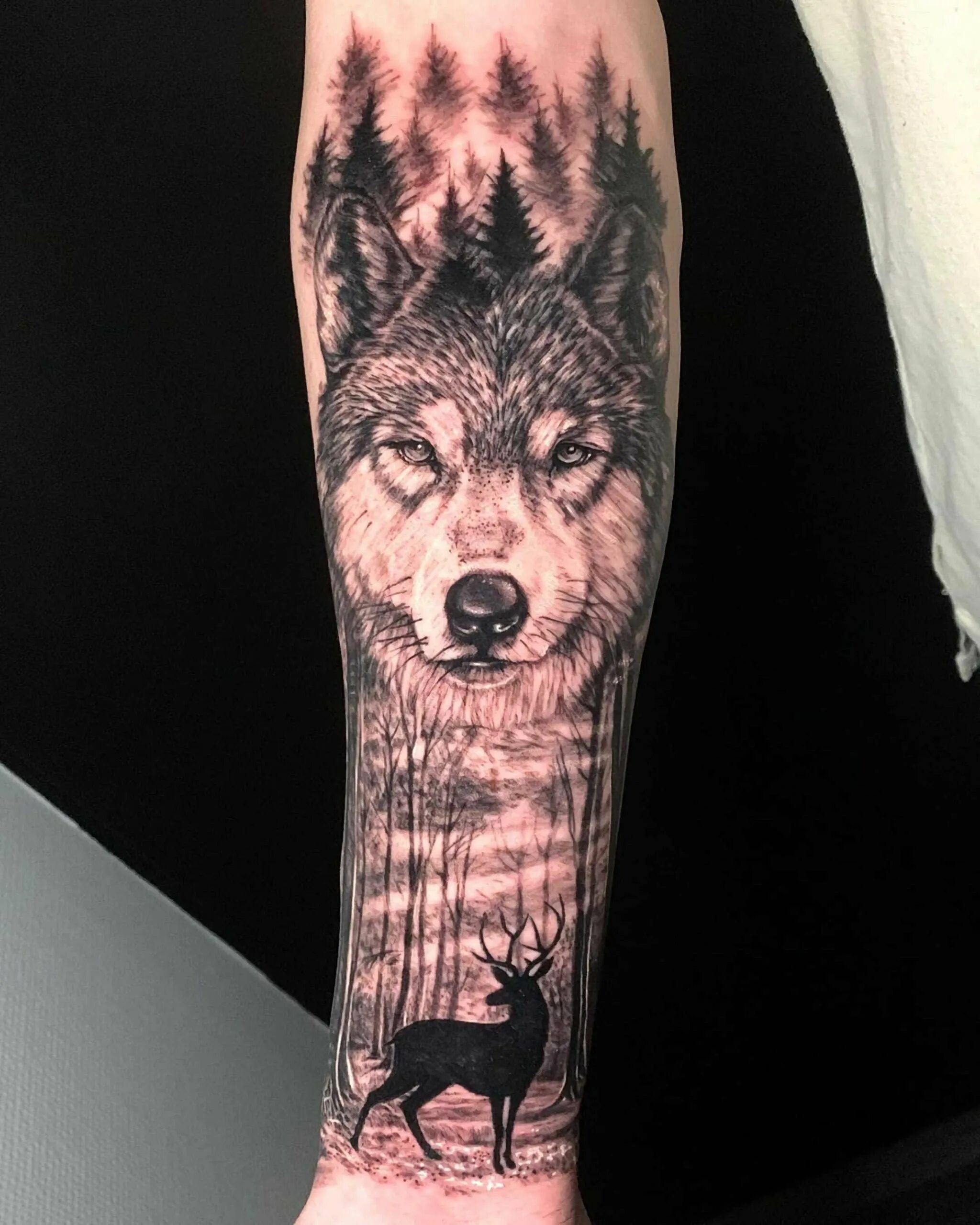 Тату волка на предплечье. Тату волк в лесу. Переводное тату волк и лес. Тату лкс и волк на руке. Тату волк в лесу на предплечье.