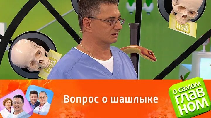 Россия доктор мясников сегодняшний выпуск. Доктор Мясников о шашлыке. Россия доктор Мясников.