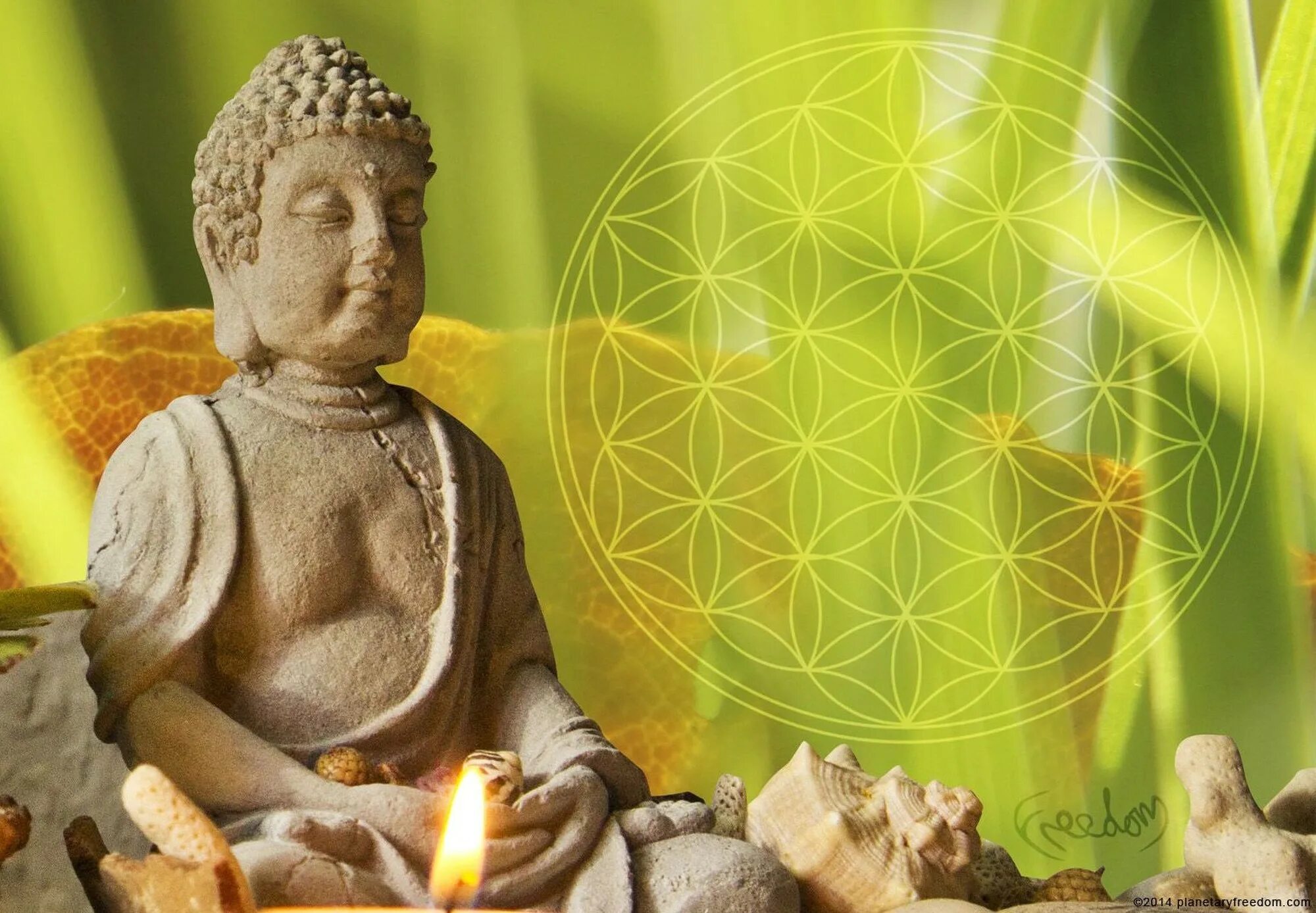 Буда обои. Будда изобилия. Будда медитация. Буддизм фон. Атрибуты для медитации.