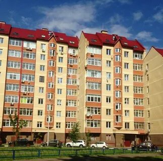 Новая 14