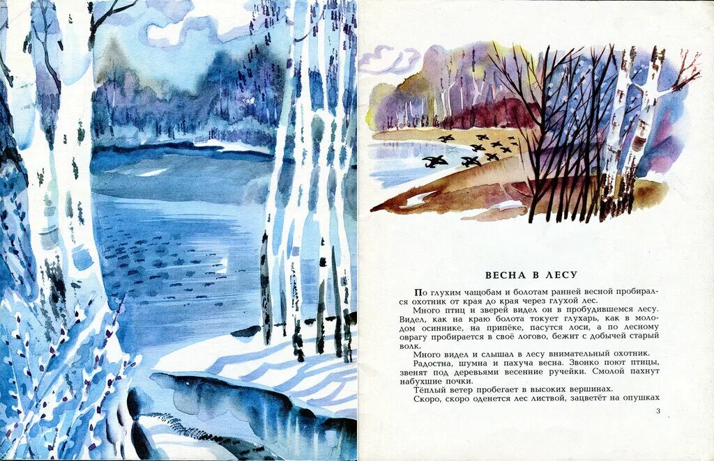 Описание природы в рассказе весенний остров. Описание природы в рассказе весенний остров