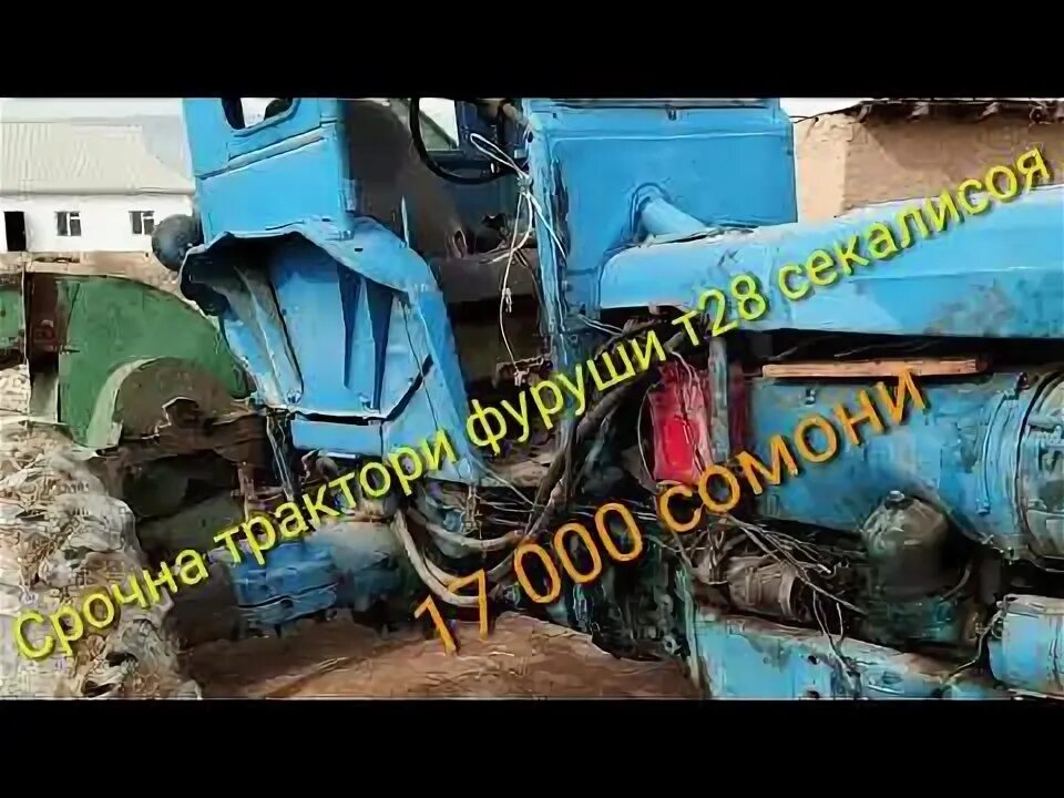 Яван трактор. Сомон тч мотоблок дизельный. Гандум дравак. Сомон тж мотоблоки фруши кумсангир. Трактор фуруши мтз 82.