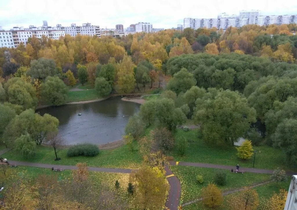 Парк никулино, москва, проспект вернадского. Пруды олимпийской деревни. Тропарево-никулино. Парк олимпийской деревни 80 в москве. Гпбу “мосприрода” эпц «лесная сказка».