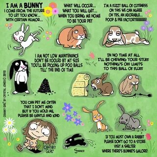 "I am a bunny I come from the future to let you know... with certain h...