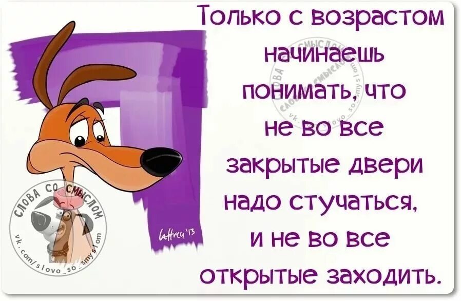 Смешные слова и выражения. Смешные цитаты. смешные афоризмы. смешные высказывания. веселые фразы.