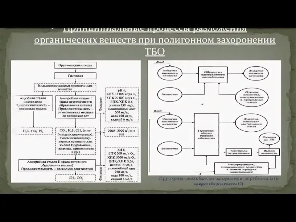 Процесс разложения органических веществ. Процесс разложения органических веществ. Минерализация органических веществ. Анаэробное разложение органических веществ. Разложение органических веществ.