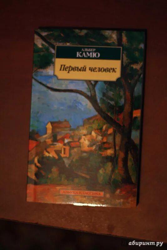 Альбер камю иллюстрации. Альбер камю первый человек. Альбер камю первый человек. Альбер камю первый человек. Жак ферандез первый человек.