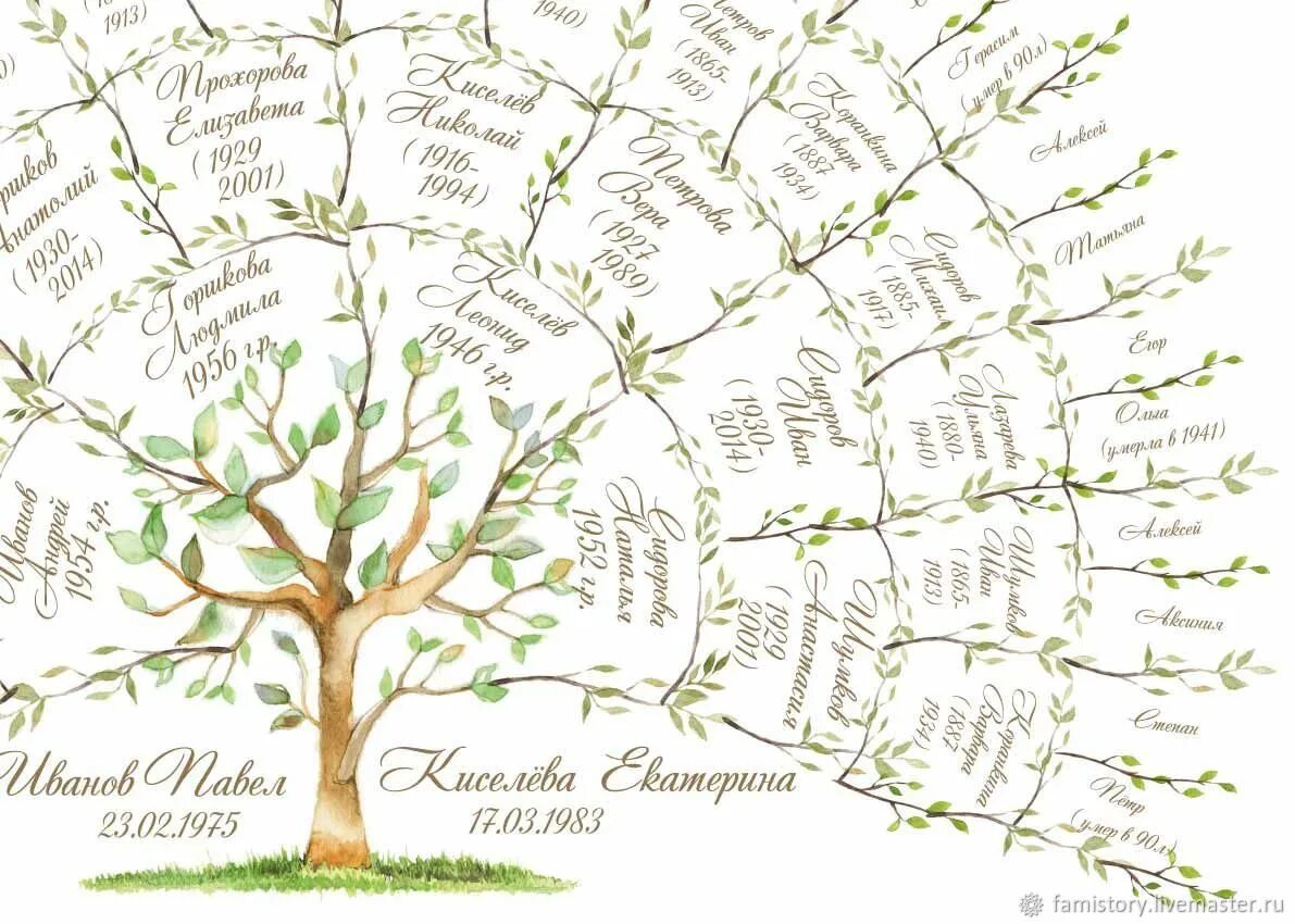 древо энканто. схема семья генеалогия. родословное дерево с корнями. генеалогические корни. генеалогическое древо чайковского петра ильича.